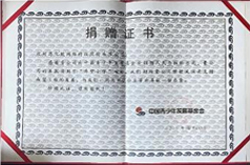 中国电子商务研案中心特约研究员